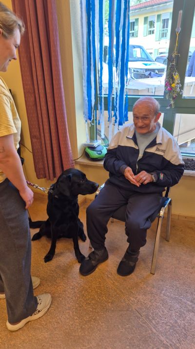 Wir bekamen Besuch von unserem Therapiehund – Bild 2